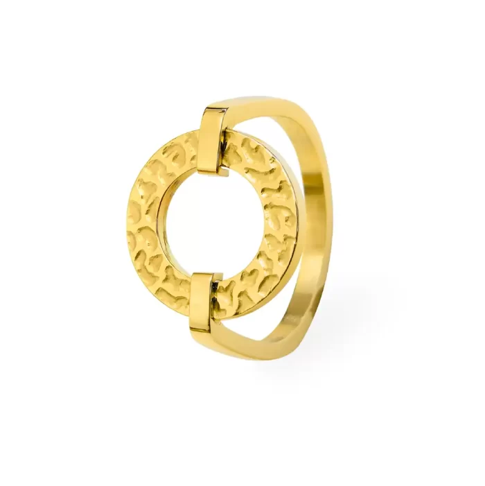 ⁦خاتم بيير لانير⁩ - الصورة ⁦4⁩