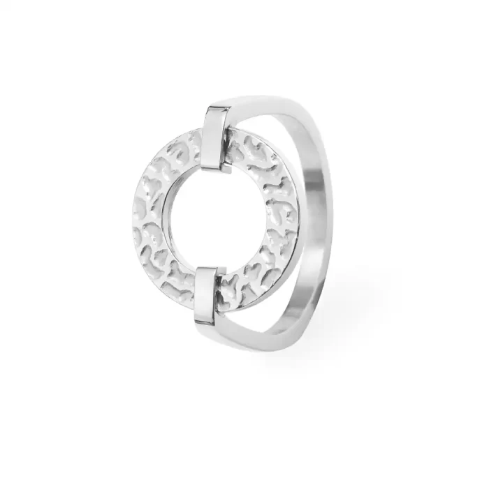 ⁦خاتم بيير لانير⁩ - الصورة ⁦1⁩