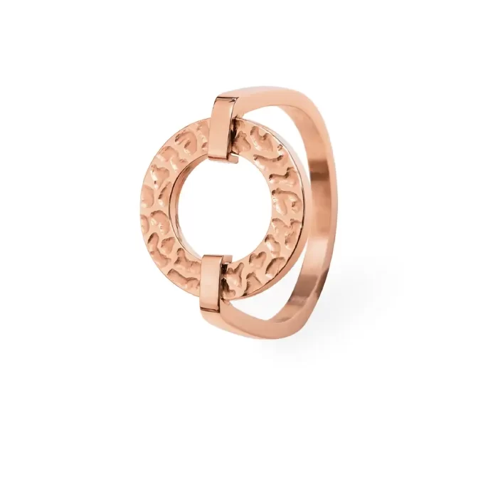 ⁦خاتم بيير لانير⁩ - الصورة ⁦2⁩